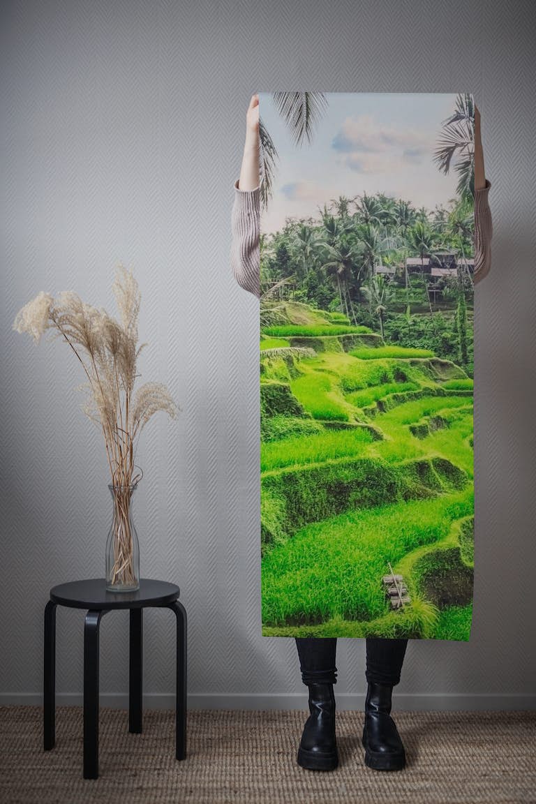 Tegallalang Rice Terraces tapetit roll