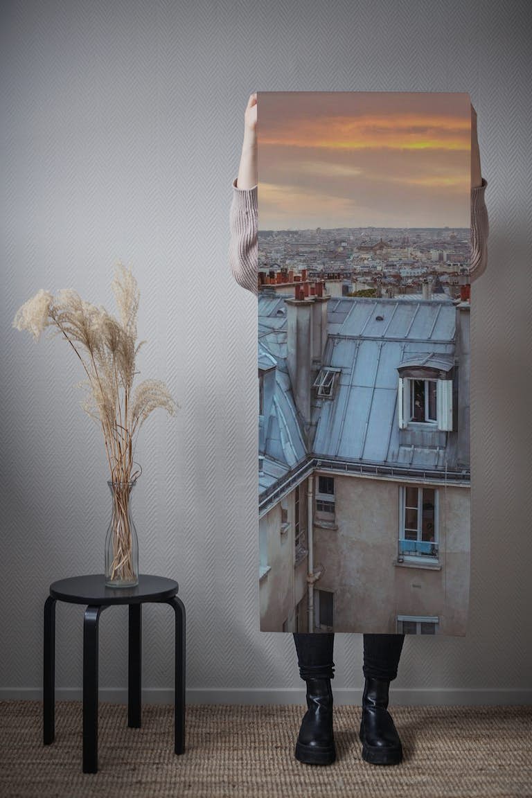Parisian Vista wallpaper roll