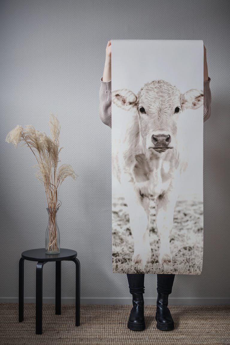 BLONDE CATTLE COTTAGELOVE BY MS wallpaper roll