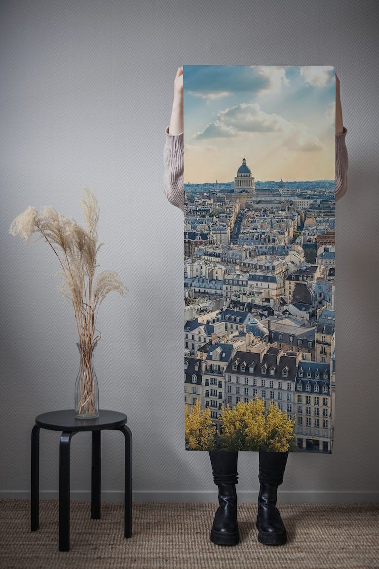 Sunny Paris wallpaper roll