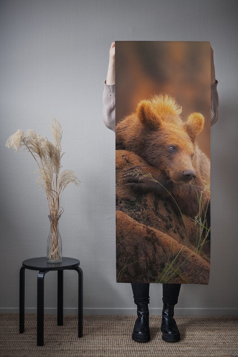 Bear portrait behang roll