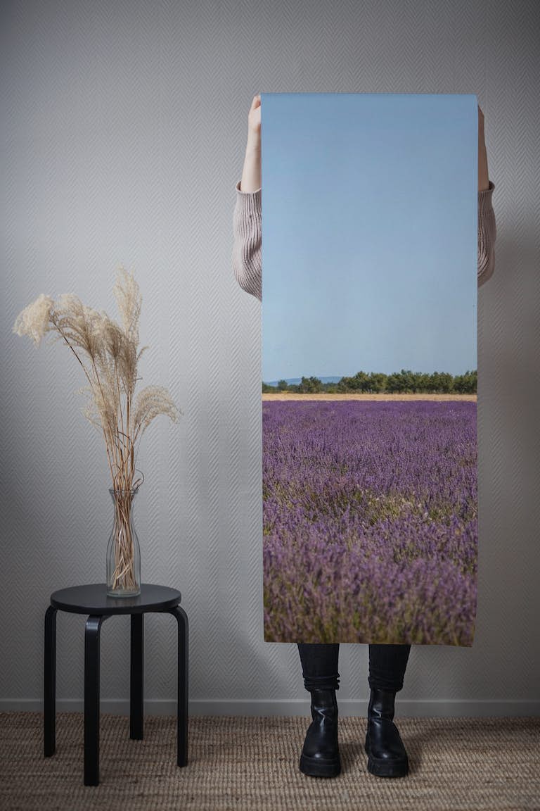 Provence Lavender Field behang roll