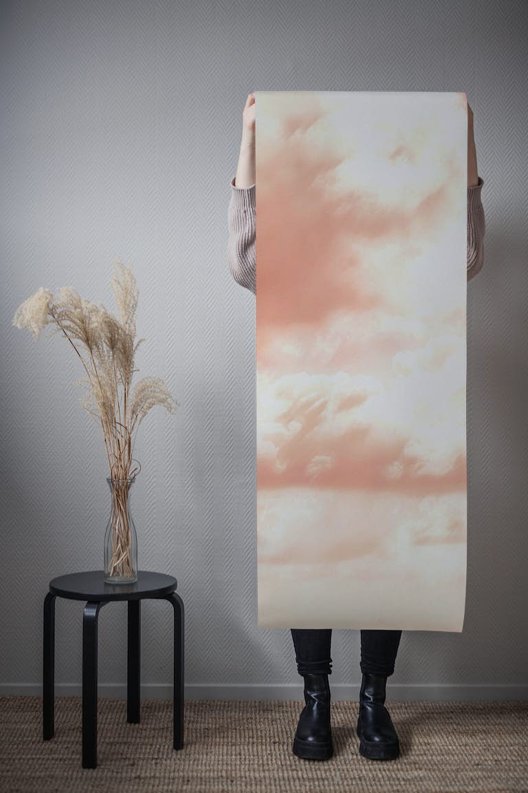 Pastel Tan Blush Peach Sunrise Clouds wallpaper roll