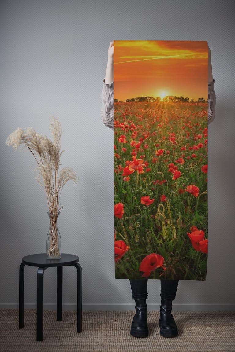 Poppies at sunset wallpaper roll
