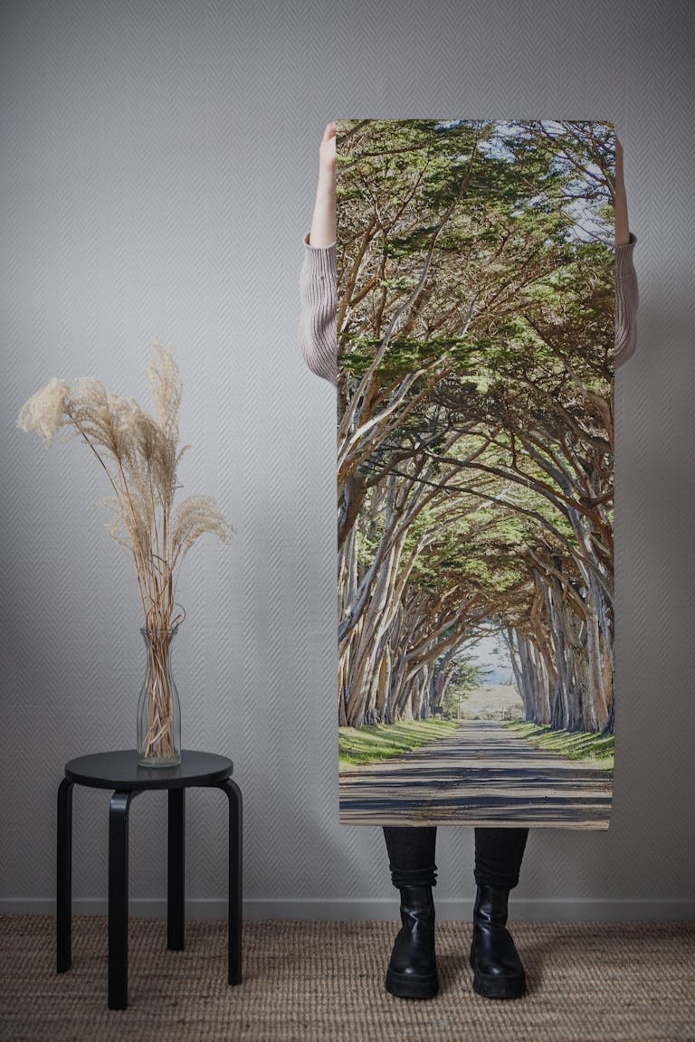 Cypress Tree Tunnel wallpaper roll