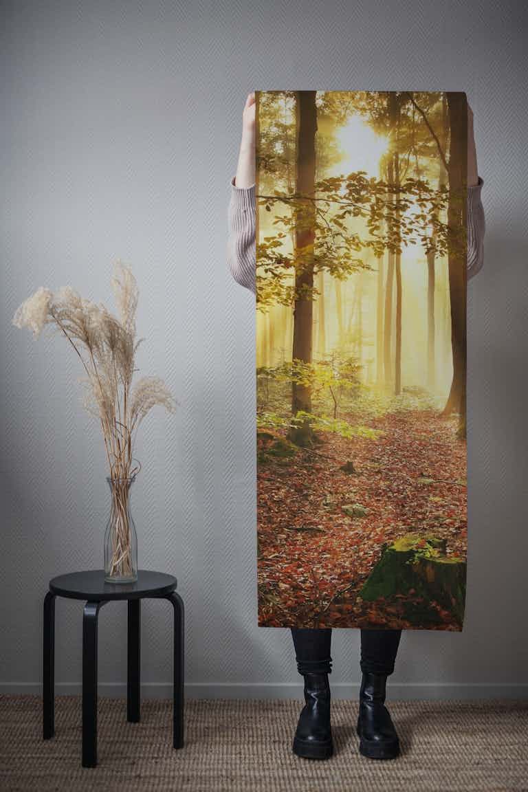 Autumn forest wallpaper roll