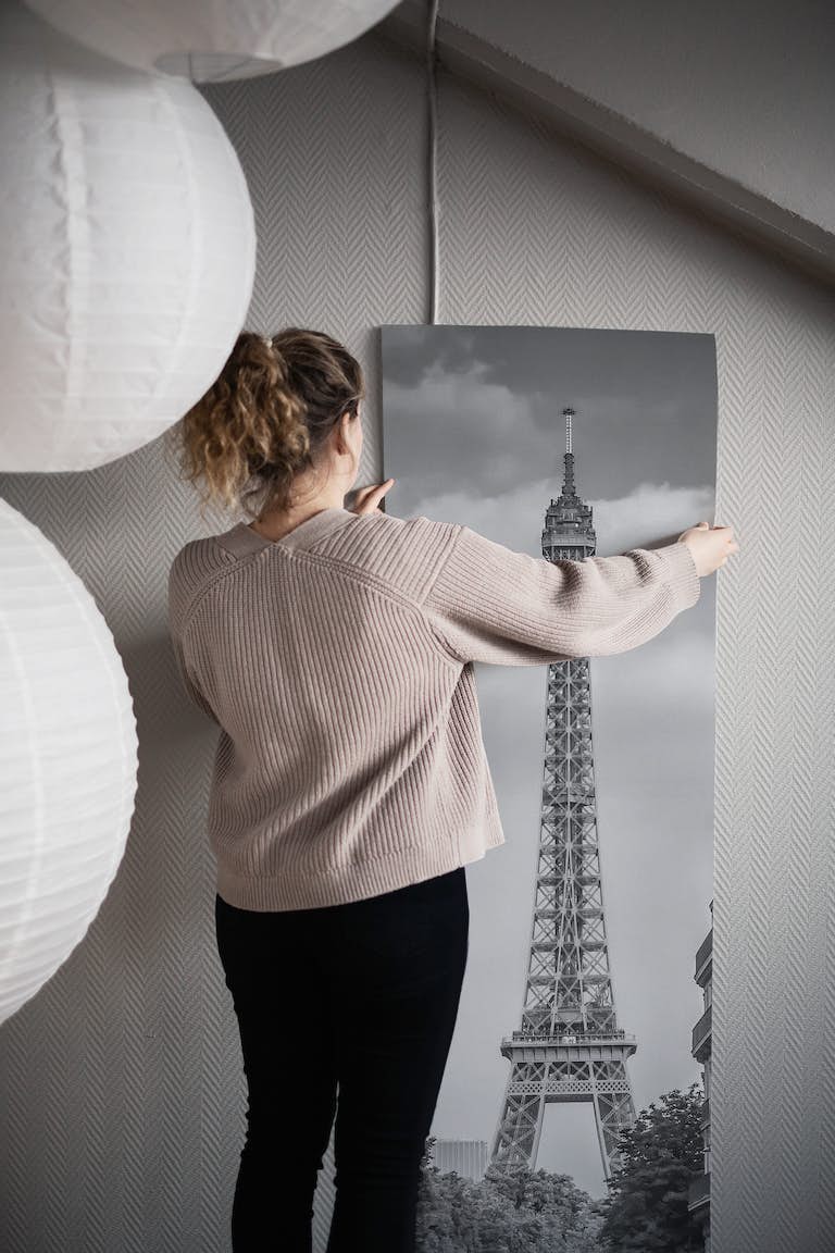 Monochrome Parisian Flair papel pintado roll