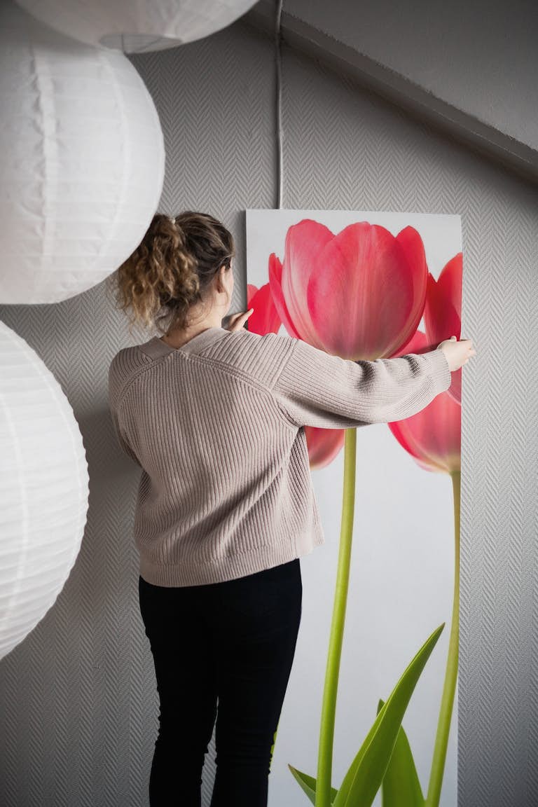 Growing Tulips papiers peint roll