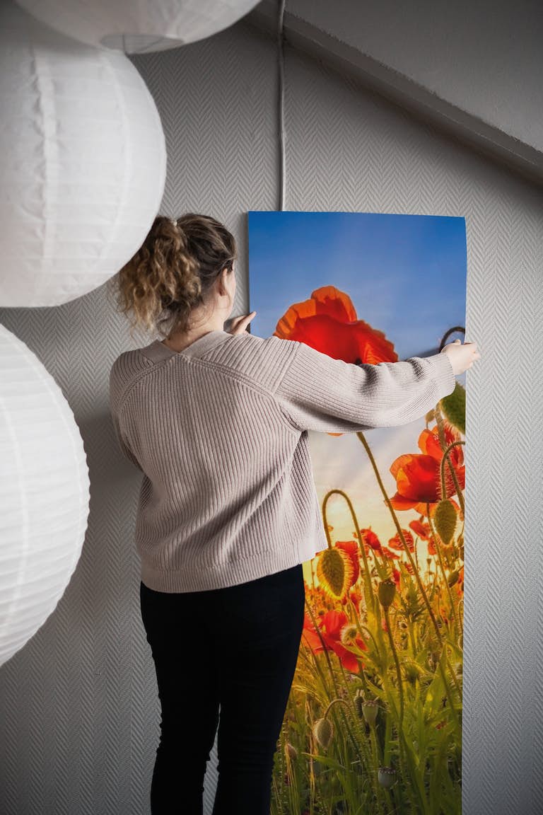 Fascinating poppies behang roll