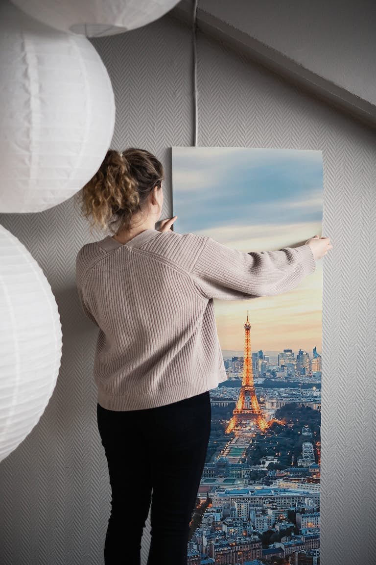 Paris city Panorama behang roll