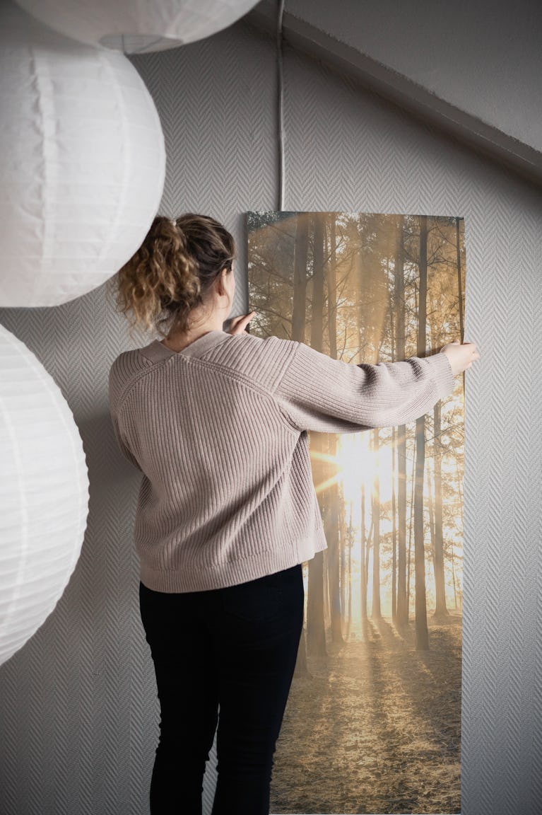 Misty forest with sunrays 4 wallpaper roll