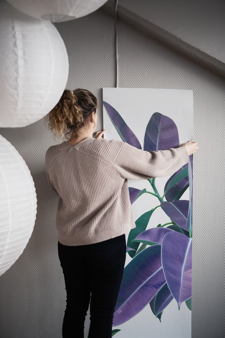 Ficus Elastica Violet Green 1 wallpaper roll