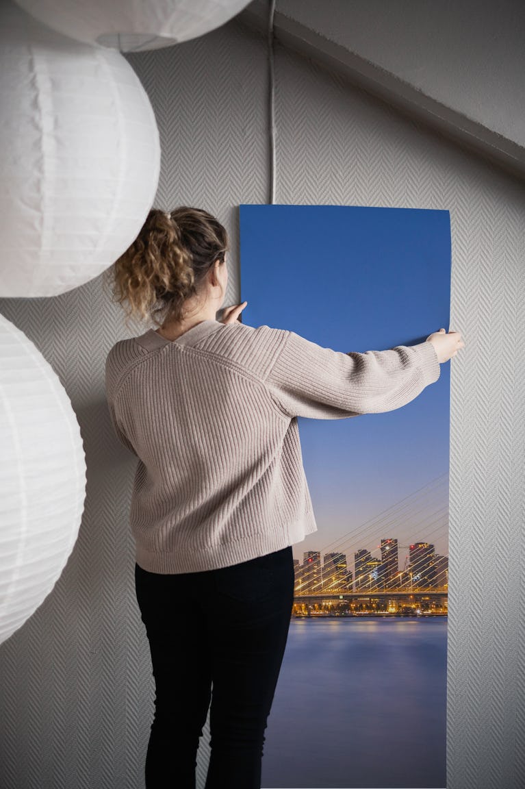Erasmus Bridge and Rotterdam skyline in the evening wallpaper roll