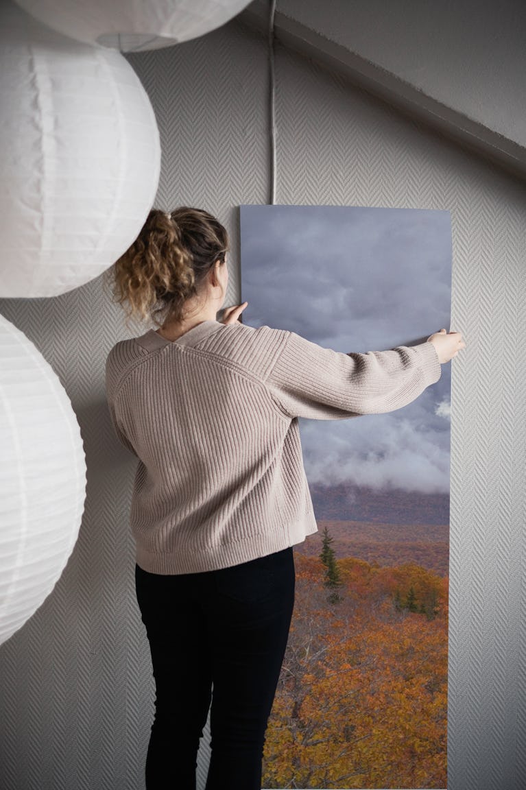Storm Over Dolly Sods Wilderness 3 wallpaper roll