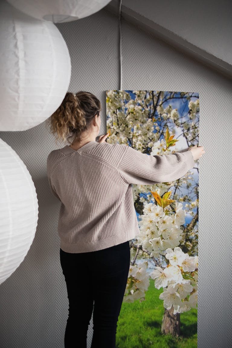 Cherrie Blossoms wallpaper roll