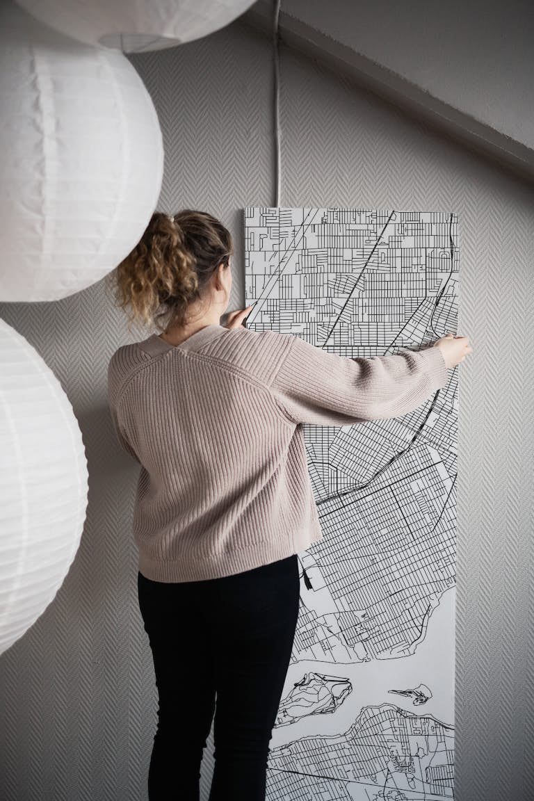 Detroit Map papel pintado roll