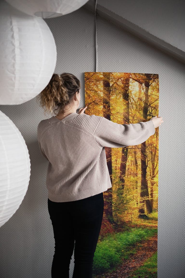 Autumn forest 2 wallpaper roll