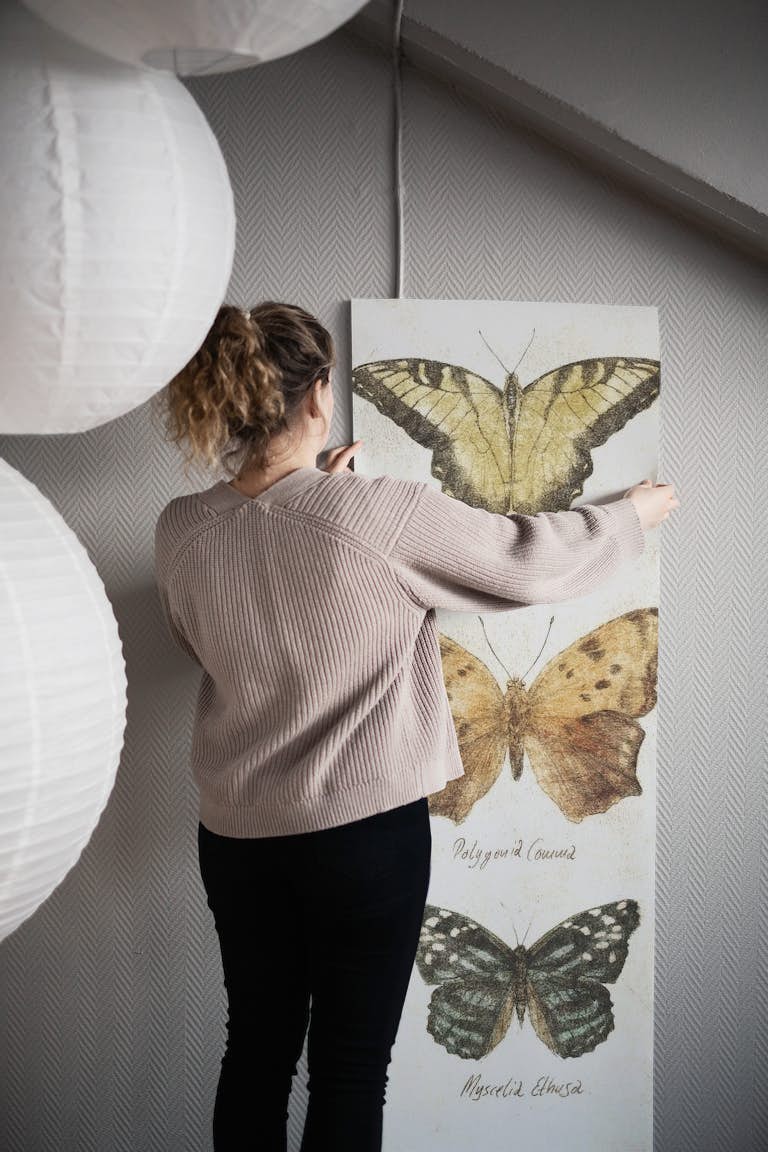 Butterflies V wallpaper roll