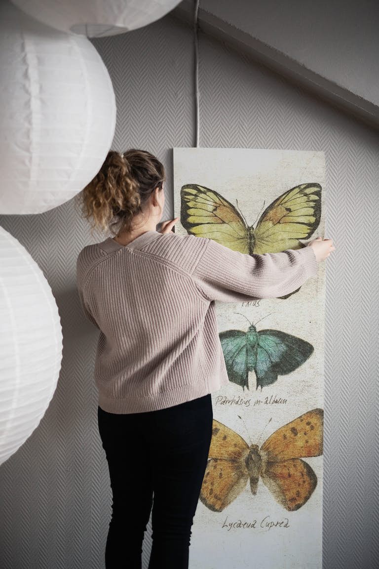 Butterflies IV wallpaper roll