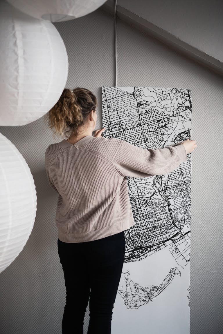 Toronto Map papel pintado roll
