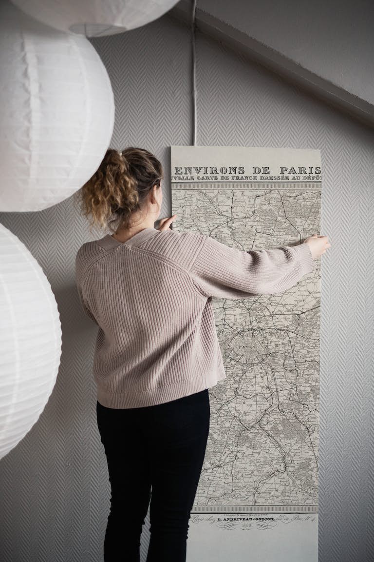 Paris Street Map From 1889 papel pintado roll