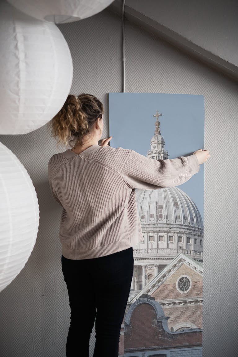 St Paul's cathedral dome papel pintado roll