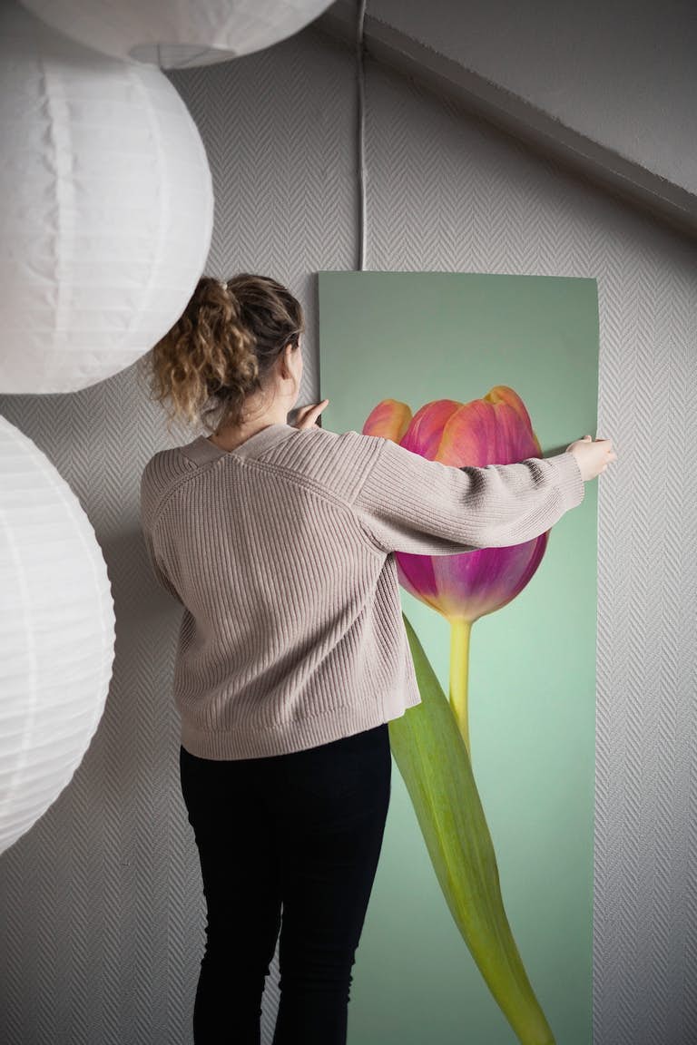 Single Tulip Flower wallpaper roll