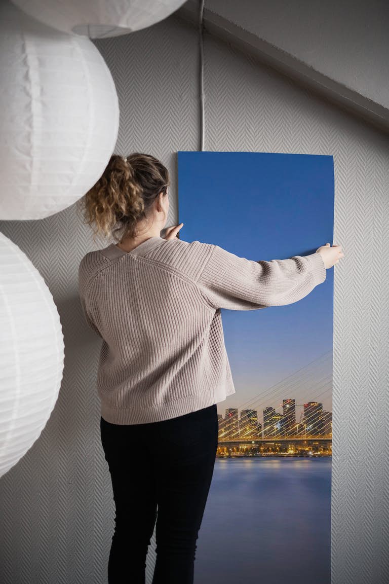Erasmus Bridge and Rotterdam skyline in the evening papel pintado roll
