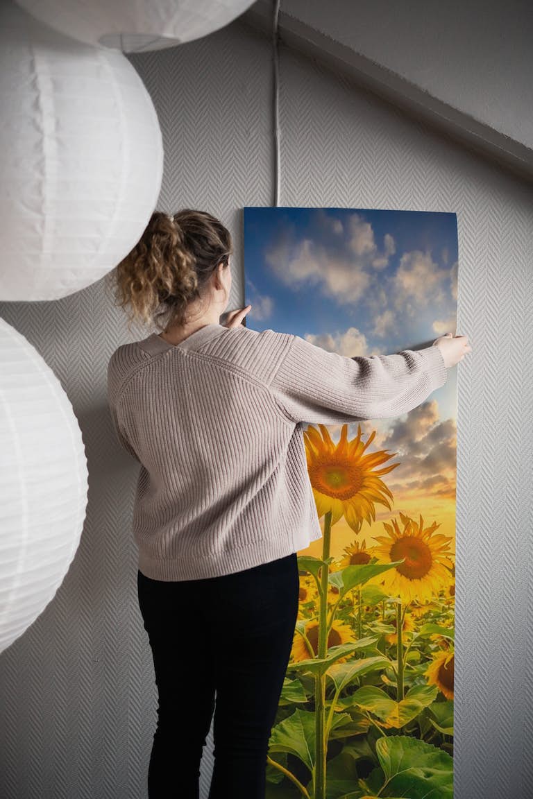 Lovely sunflowers in sunset wallpaper roll