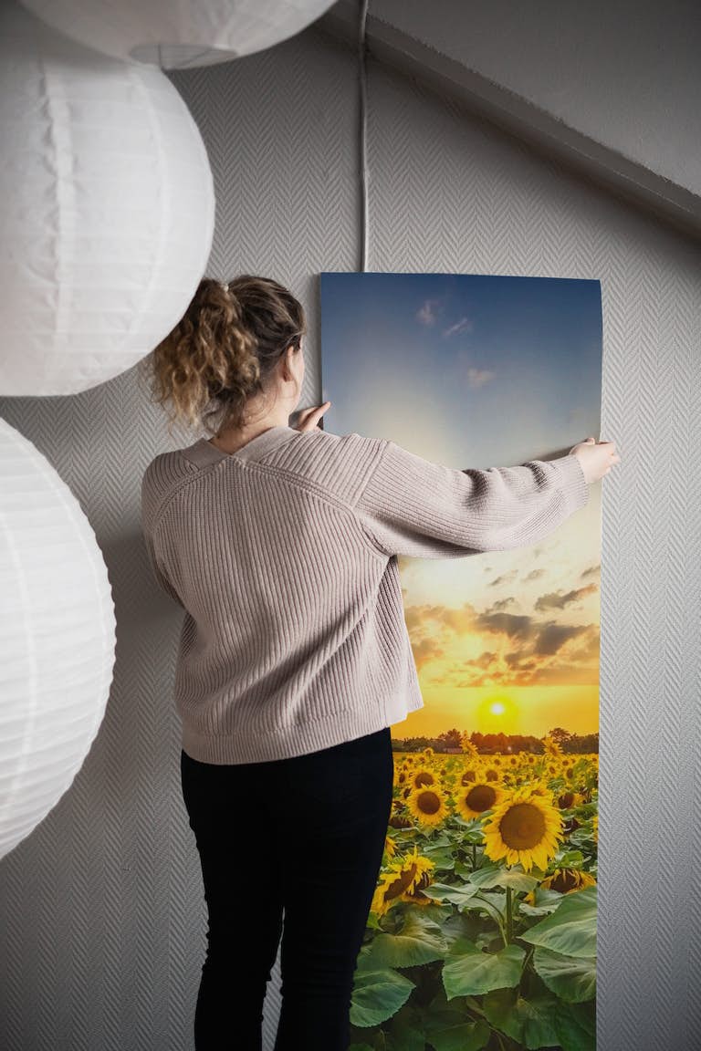 Gorgeous sunflower field at sunset wallpaper roll