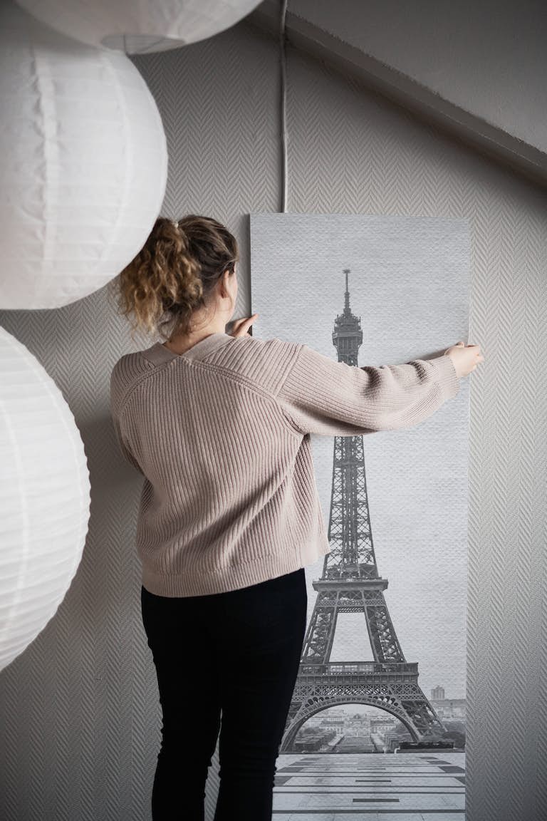 Reborn in Paris wallpaper roll