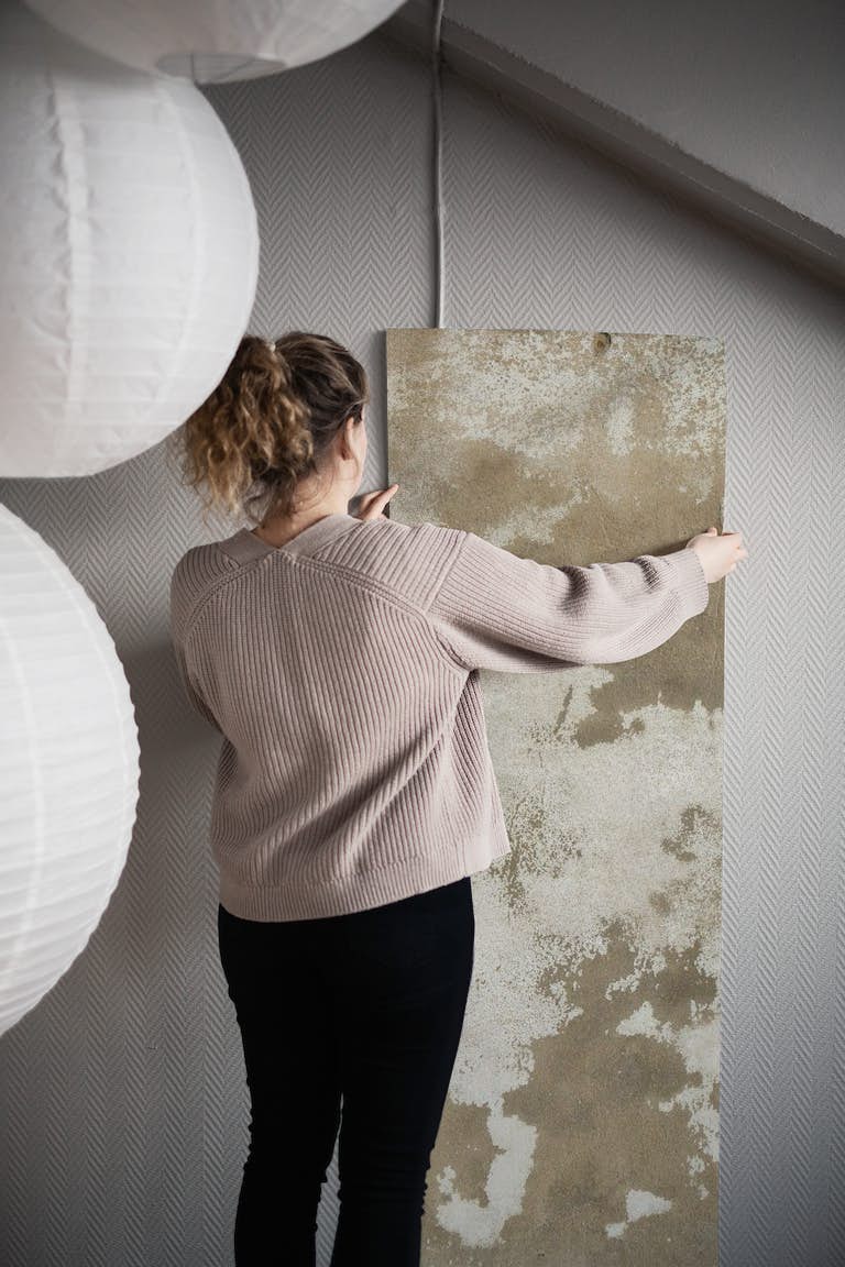 Plastered wall papiers peint roll