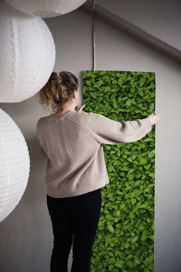 Green leaves wall wallpaper roll