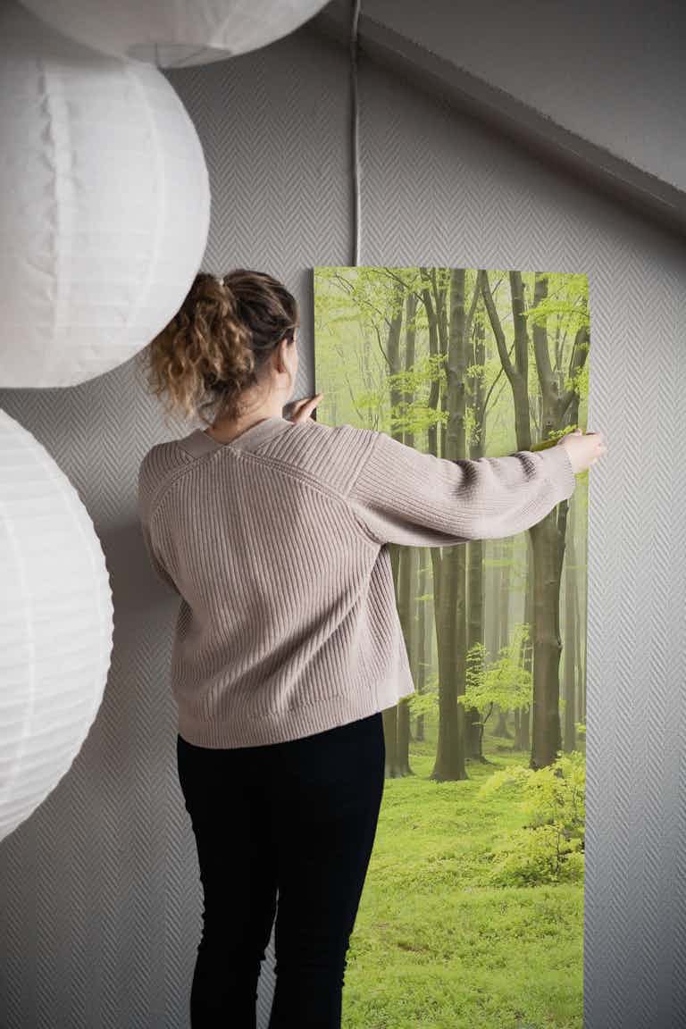 Misty beech forest wallpaper roll
