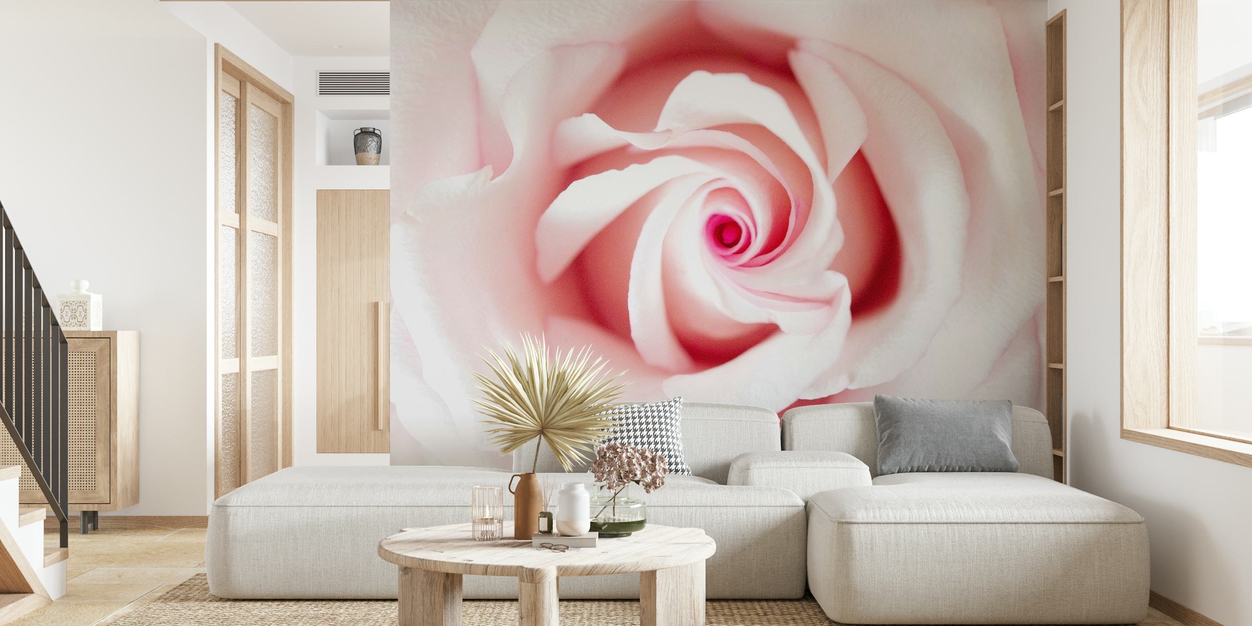 Blush Beauty Rose 1 papel de parede