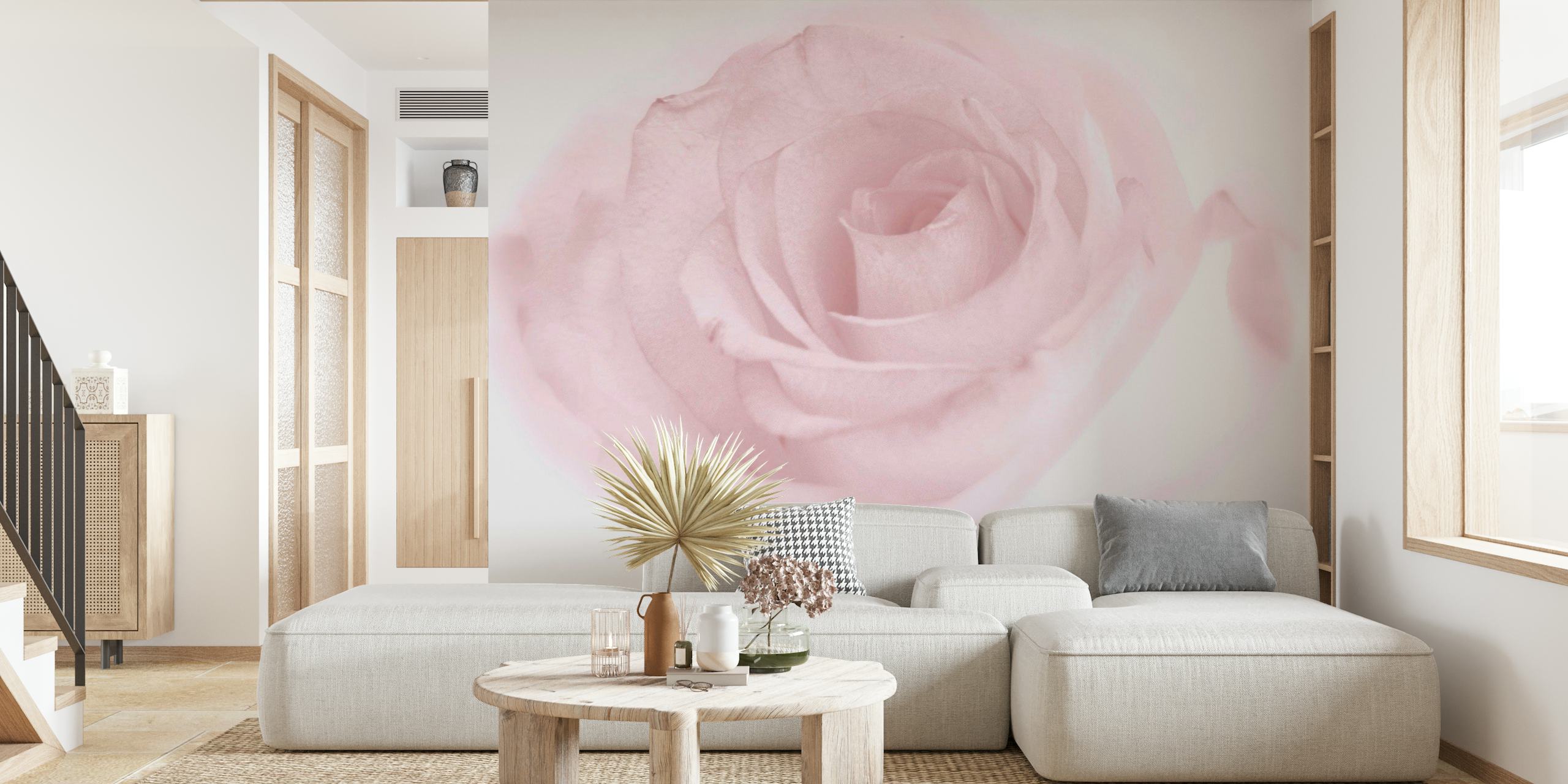 Soft Rose wallpaper