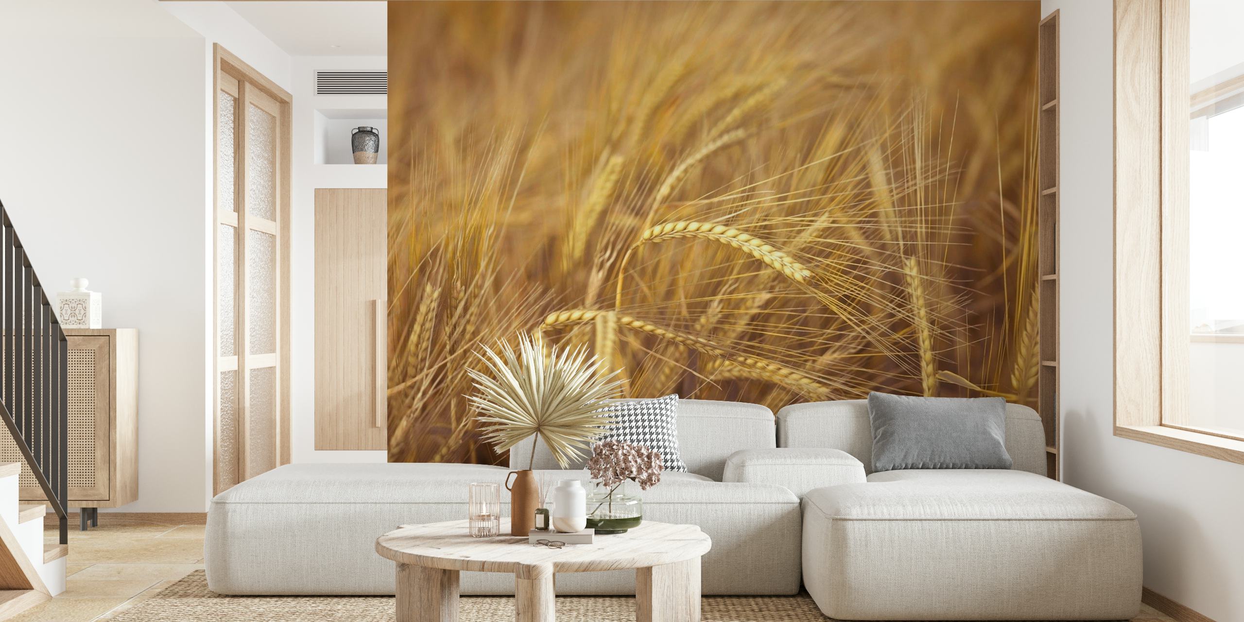Imagem aproximada de um campo de trigo dourado para fotomural vinílico de parede