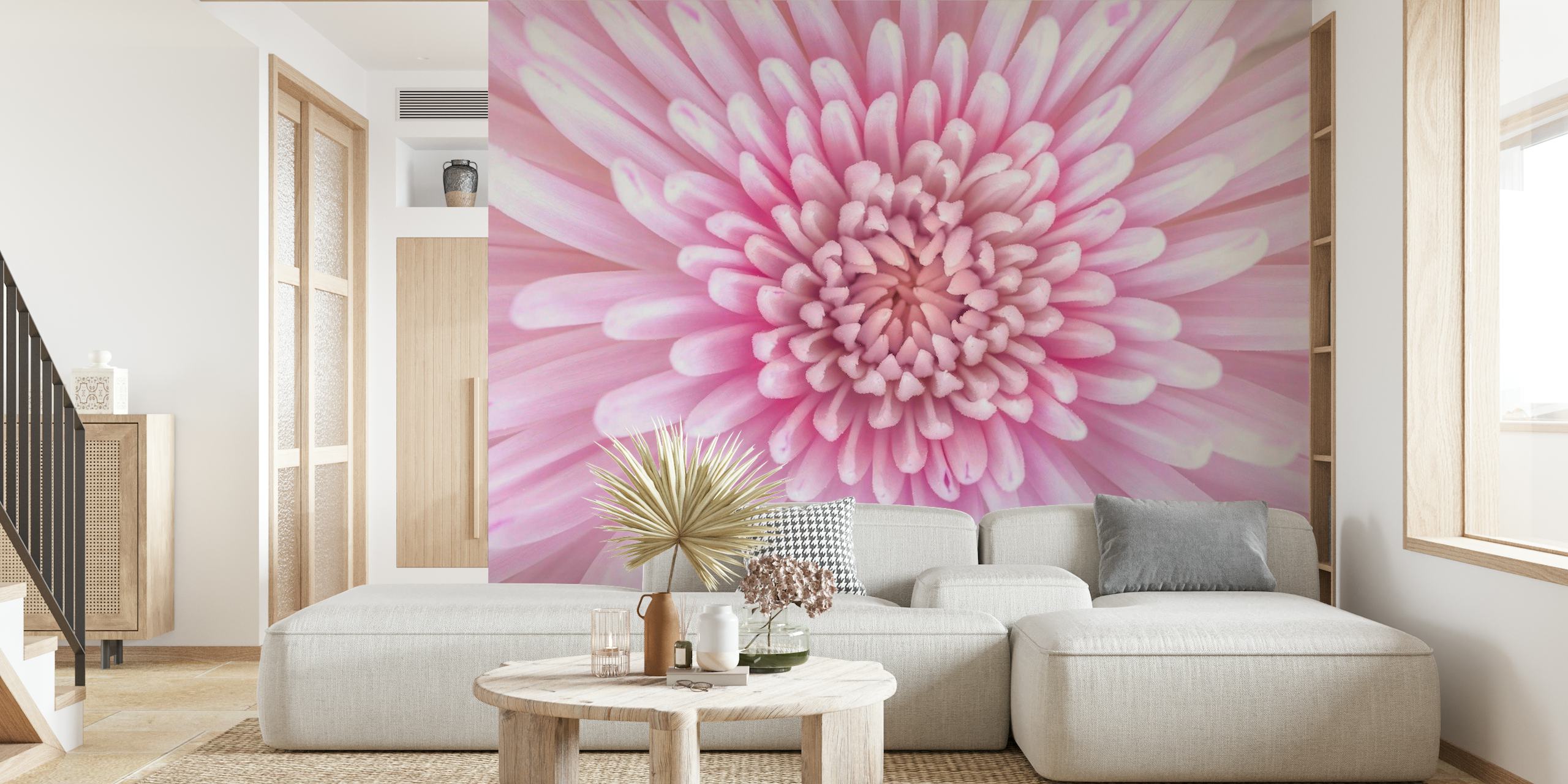 Chrysanthemum Flower behang