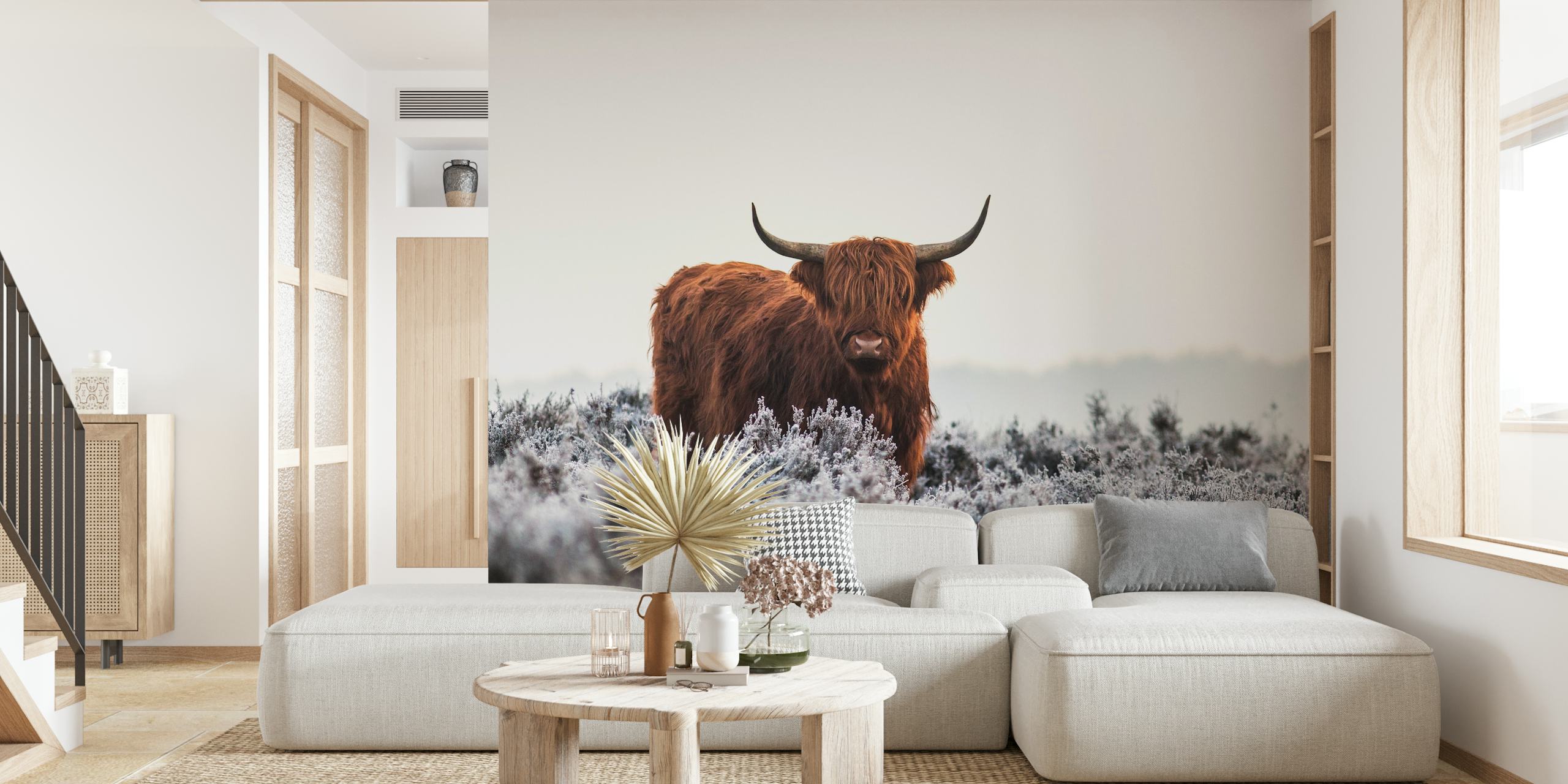 Fotomural vaca de las tierras altas en un páramo brumoso