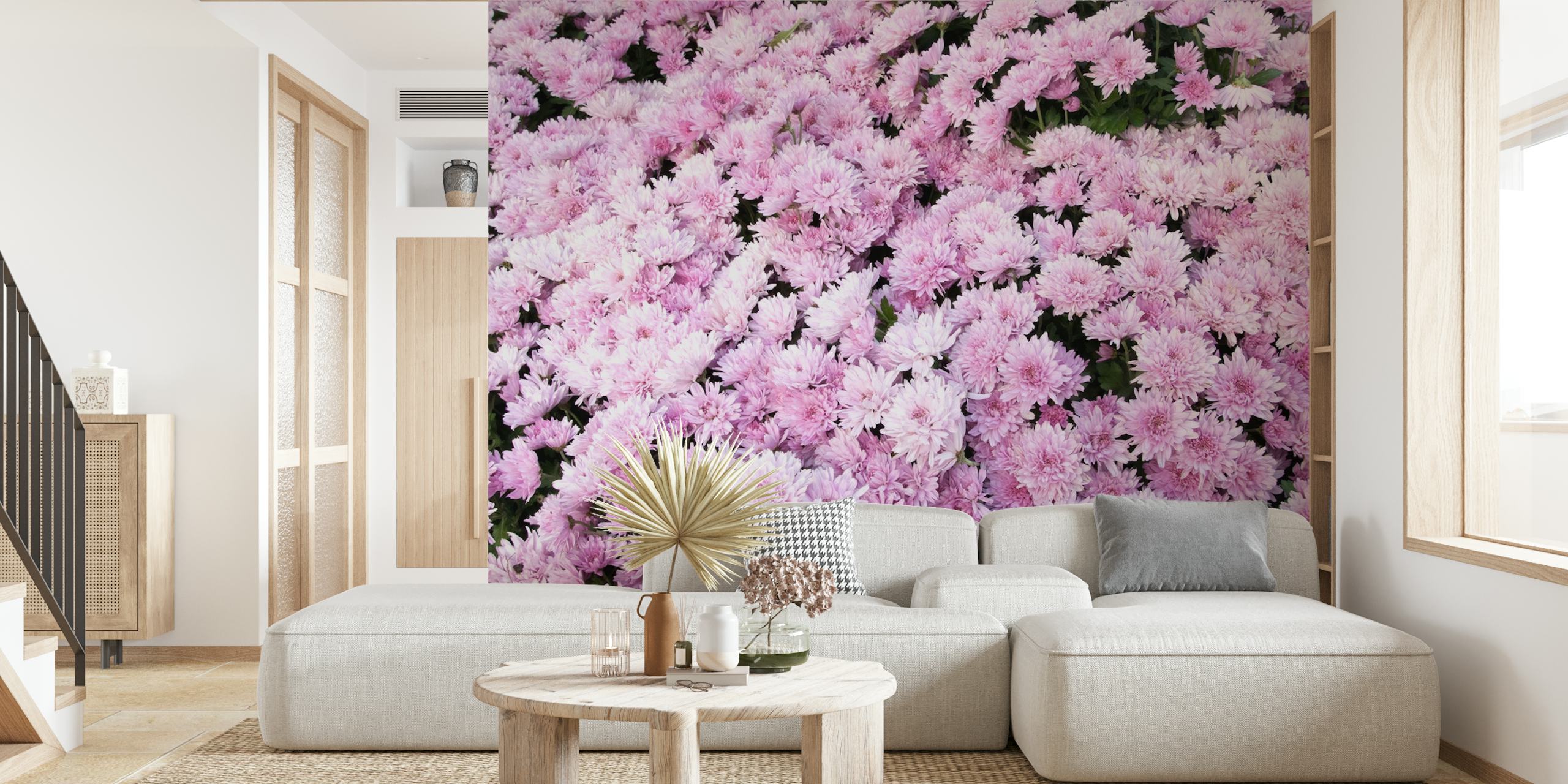 Light Pink Chrysanthemums Tapete in einem Zimmer