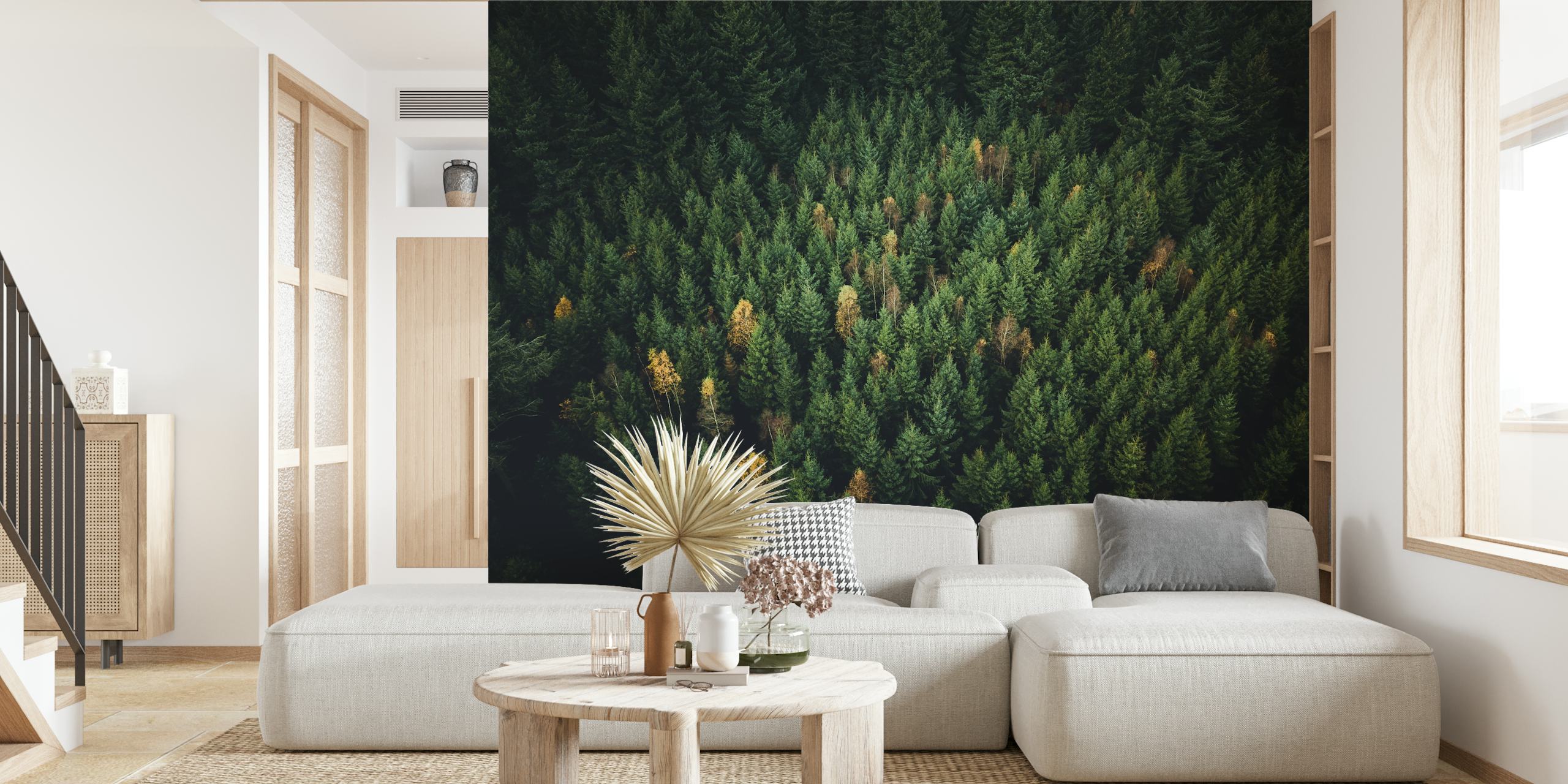 Wall mural of tranquil pine forest with hints of autumn colors