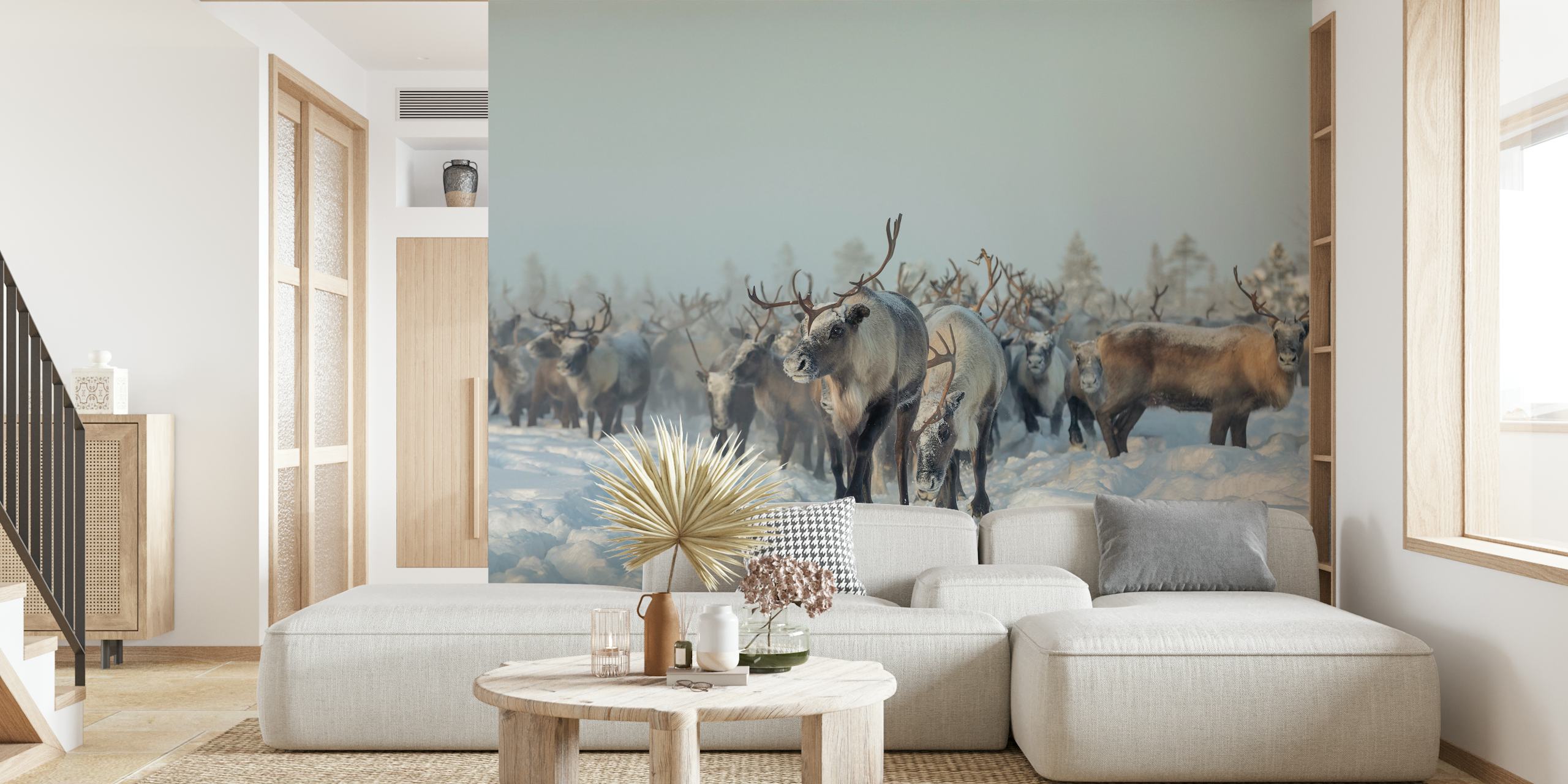 Reindeer in snow-covered landscape with trees wallpaper