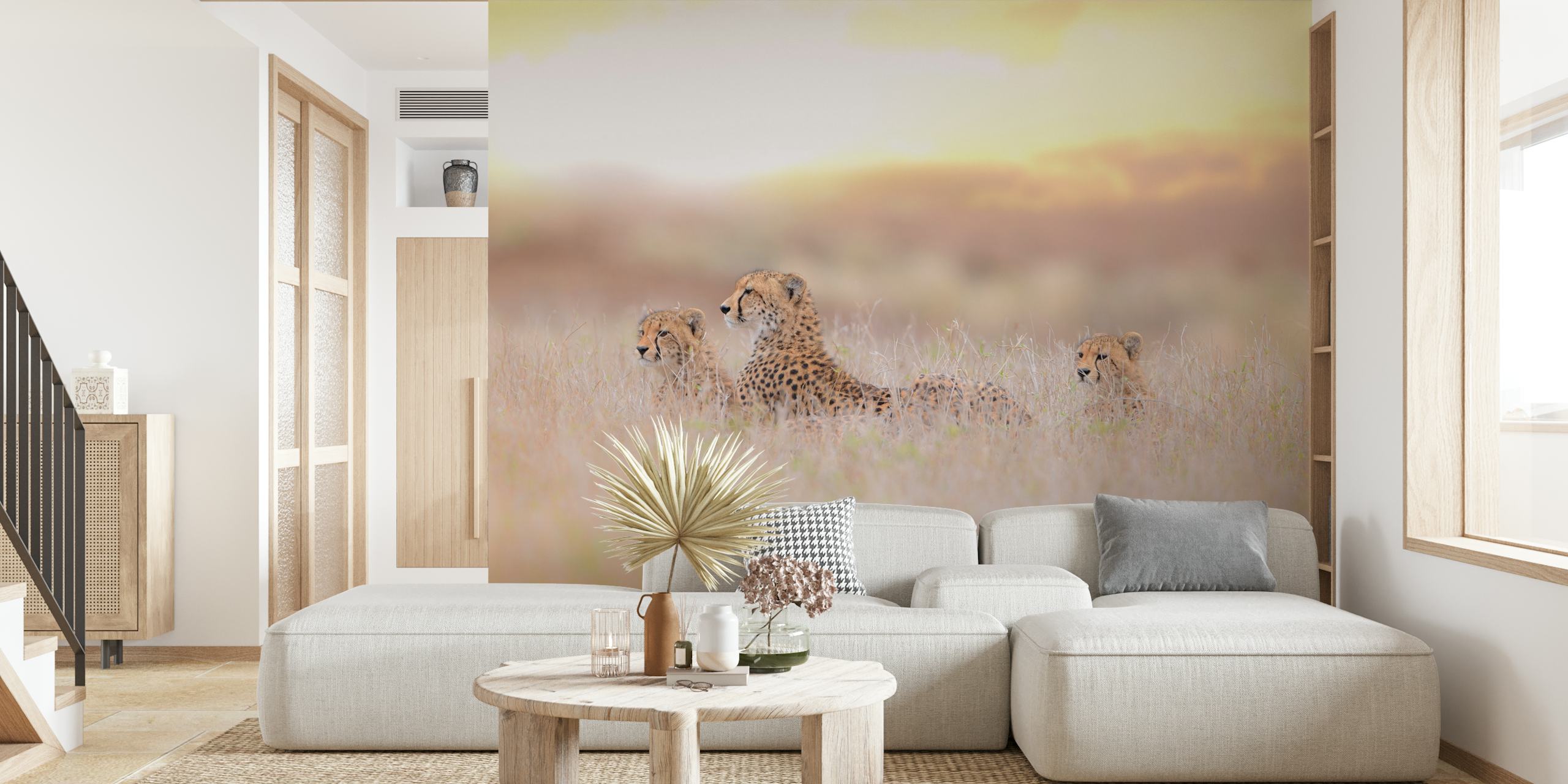 Cheetah mother and cubs wall mural in golden savannah grass