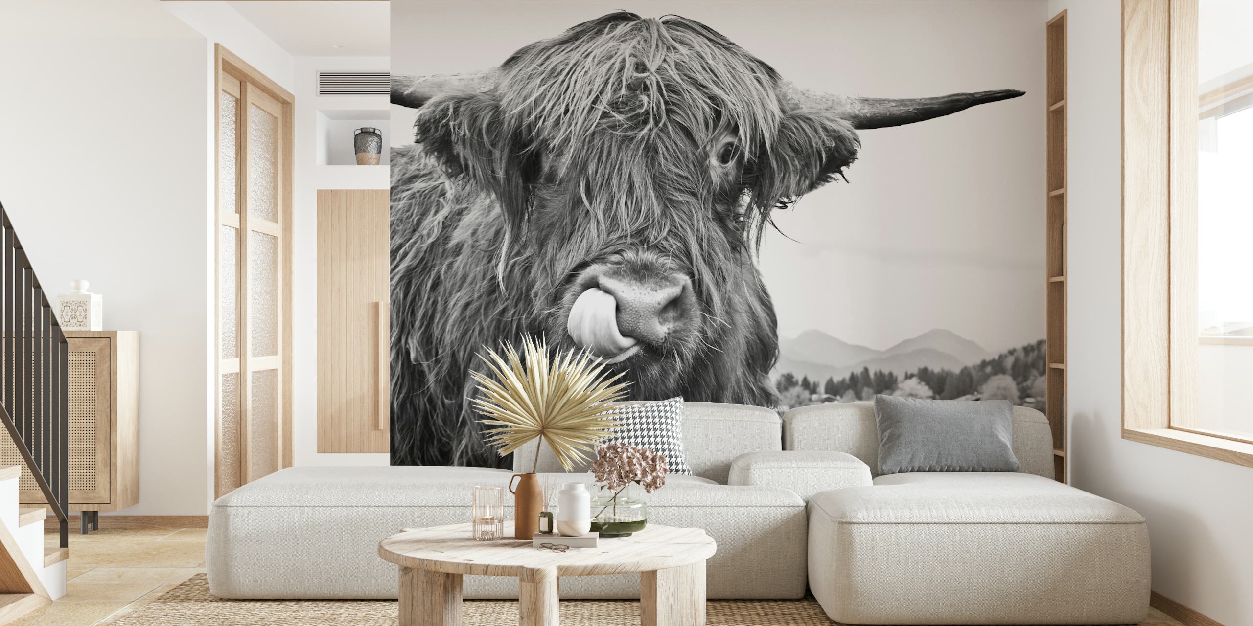 Highland cow with long hair and horns black and white wallpaper
