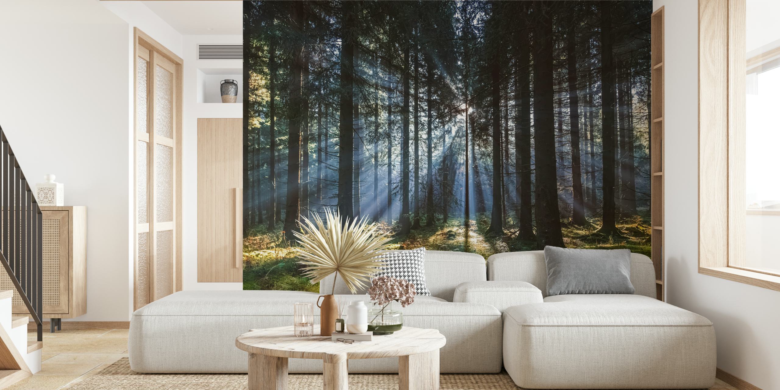 Sunbeam forest scene with green trees and light rays wallpaper