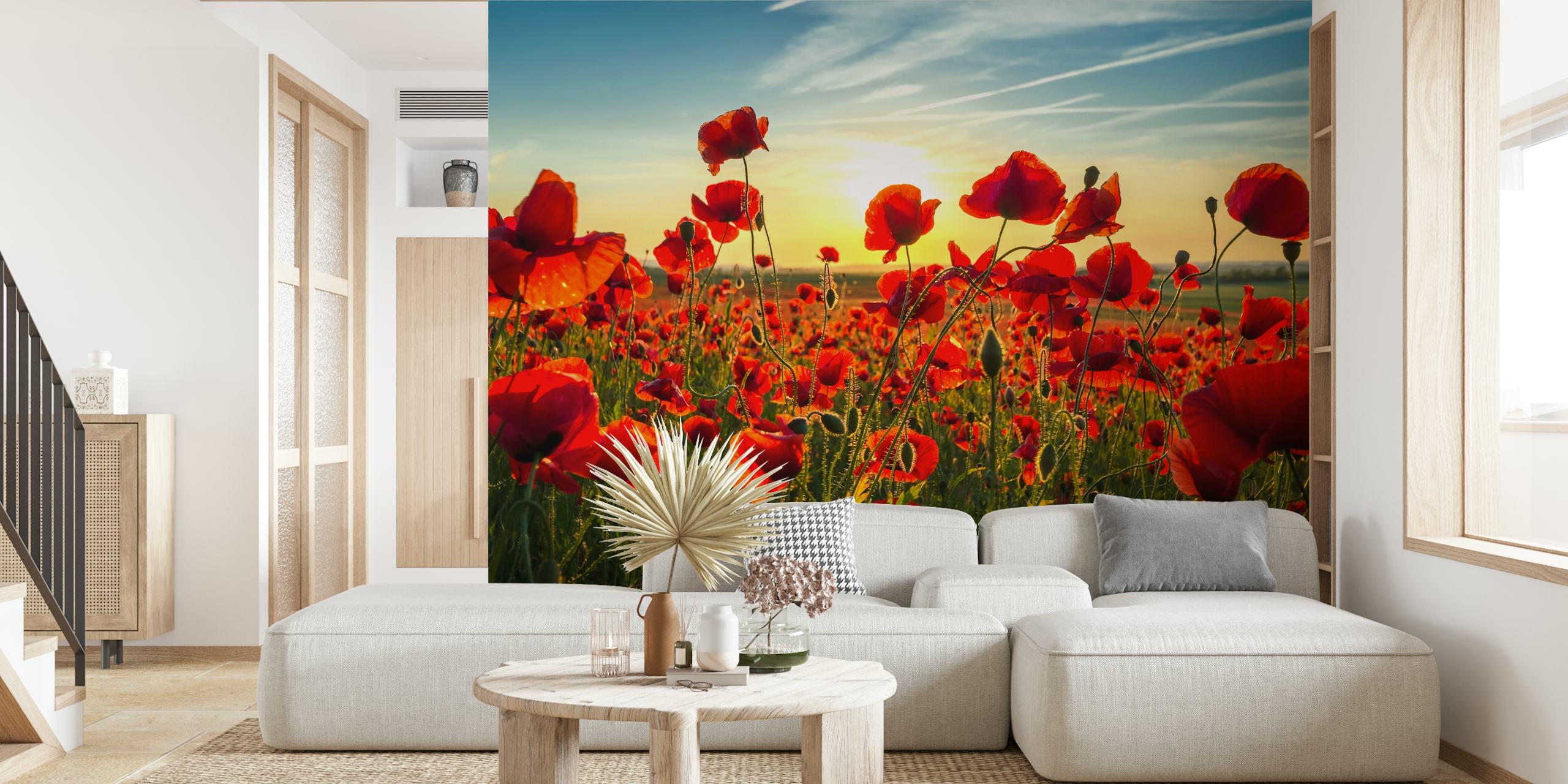 Carta da parati Papaveri in estate con fiori rossi brillanti e cielo blu