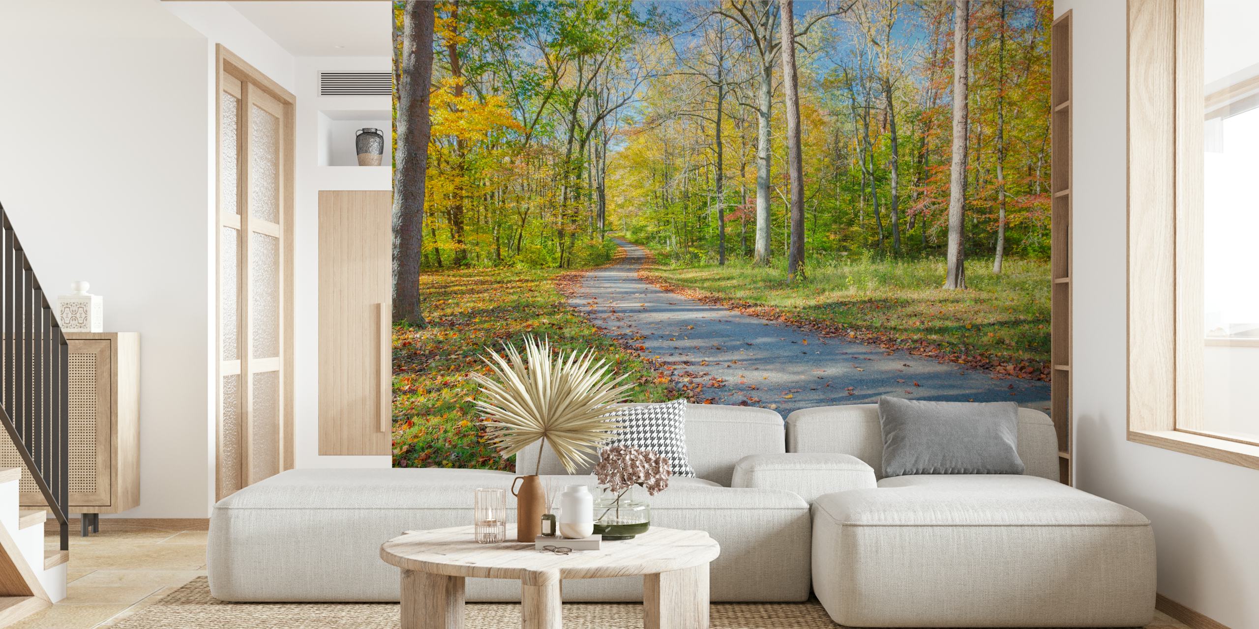 Tapeta Autumn Forest Pathway u sobi