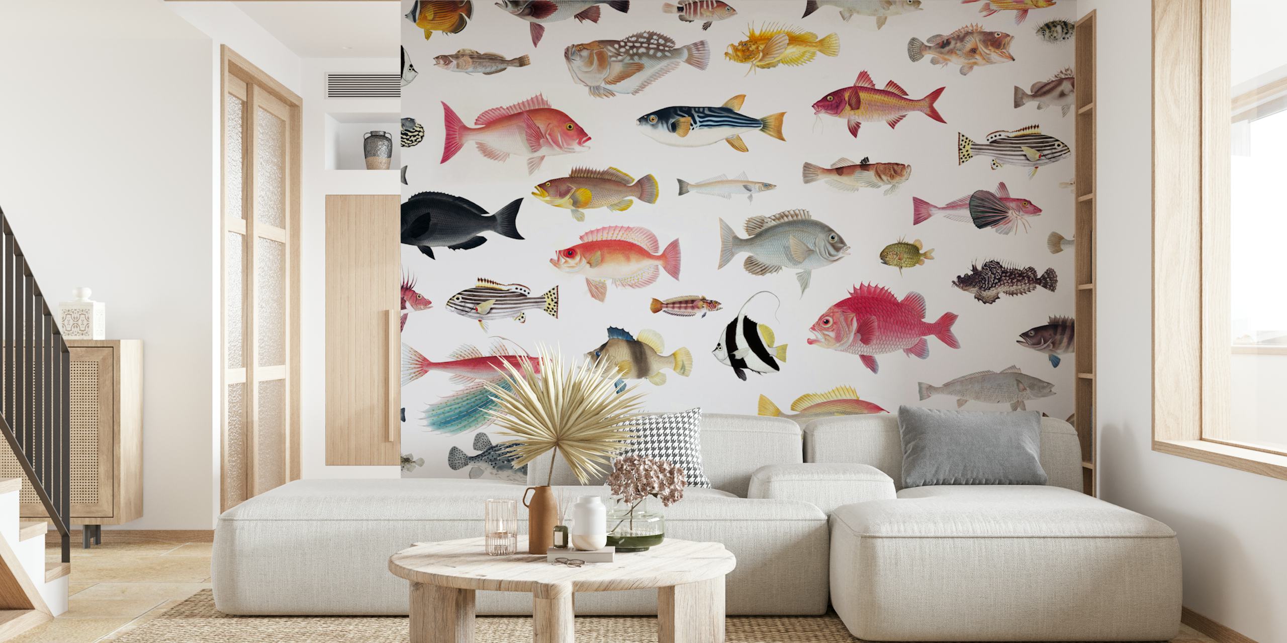 Various colorful fish illustrations on a white background wallpaper