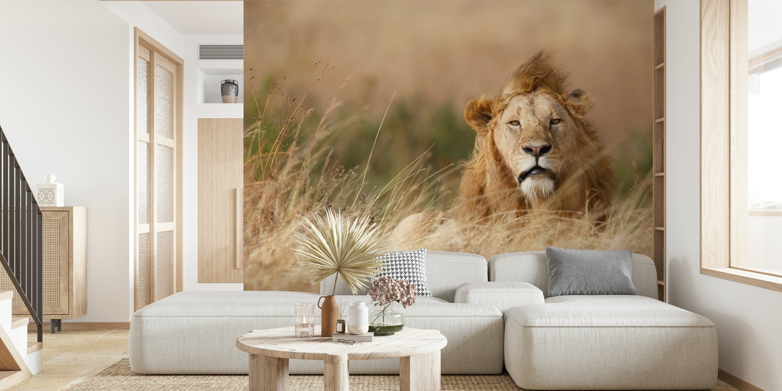 Handsome lion papel de parede em um ambiente decorativo