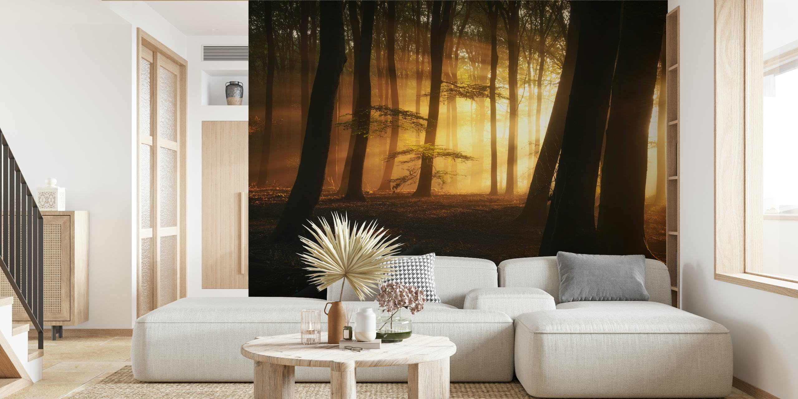 Golden forest scene with sunlight through trees wallpaper